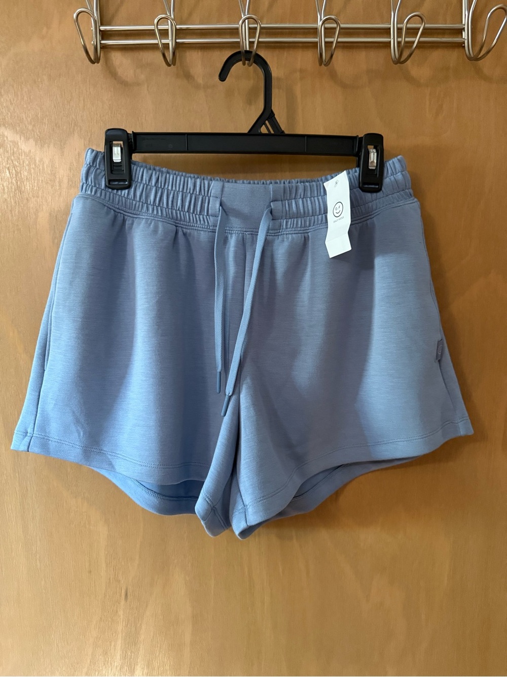 Gilly Hicks Light Blue Drawstring Athletic Shorts